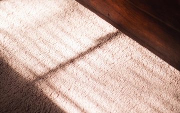 Химчистка ковролина на дому: уют и чистота за короткий срок