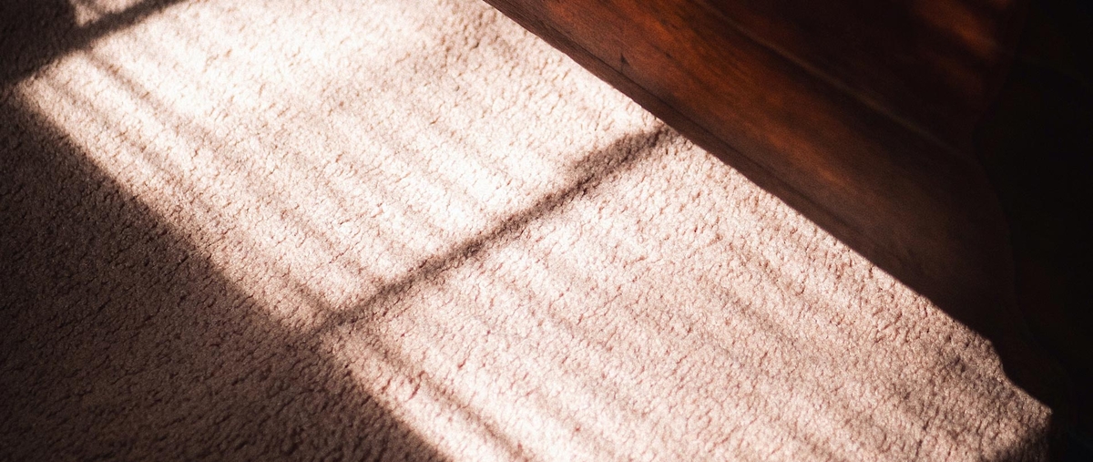 Химчистка ковролина на дому: уют и чистота за короткий срок